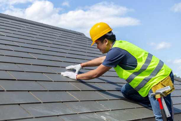 Best Roof Leak Repair  in Douglas, MI