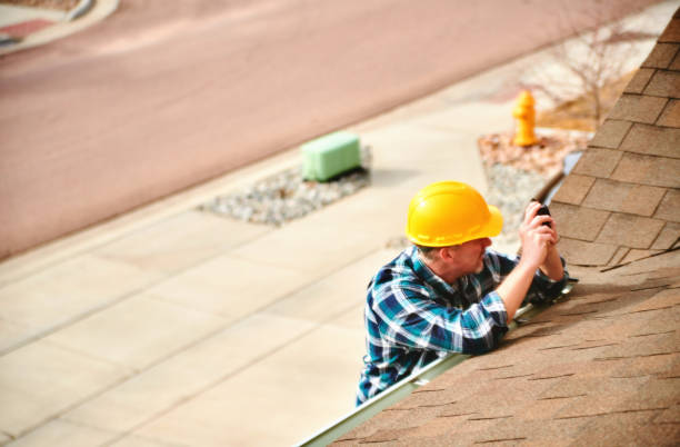 Best Emergency Roof Repair Services  in Douglas, MI